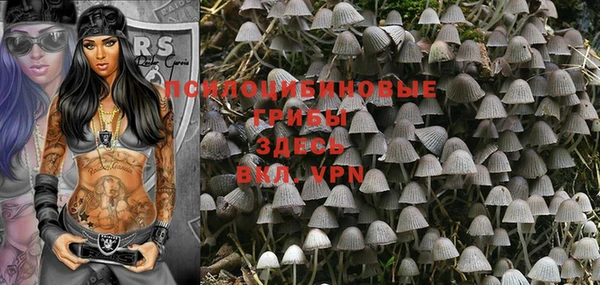 эйфоретик Михайловка